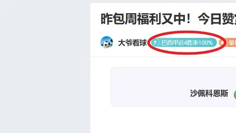 帕尔默心理坚稳，竞技起伏乃常理——马雷斯卡视角